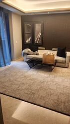 Cairnhill Nine (D9), Apartment #560552571
